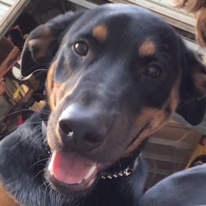 Meet your Posher, Seth